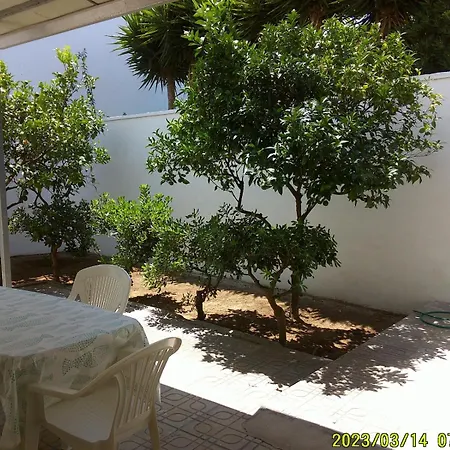 Focamare Apartman San Foca